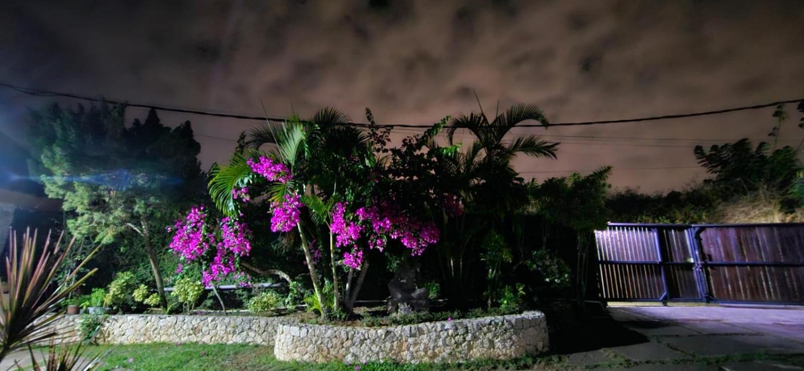Villa Anjing Nusa Dua (Bali) Exterior foto
